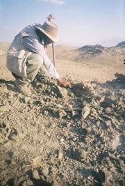 An archaeologist digs in the soils in Middle Awash, Ethiopia. A view similar to what Gen Suwa may have seen while walking around at Aramis, Ethiopia.