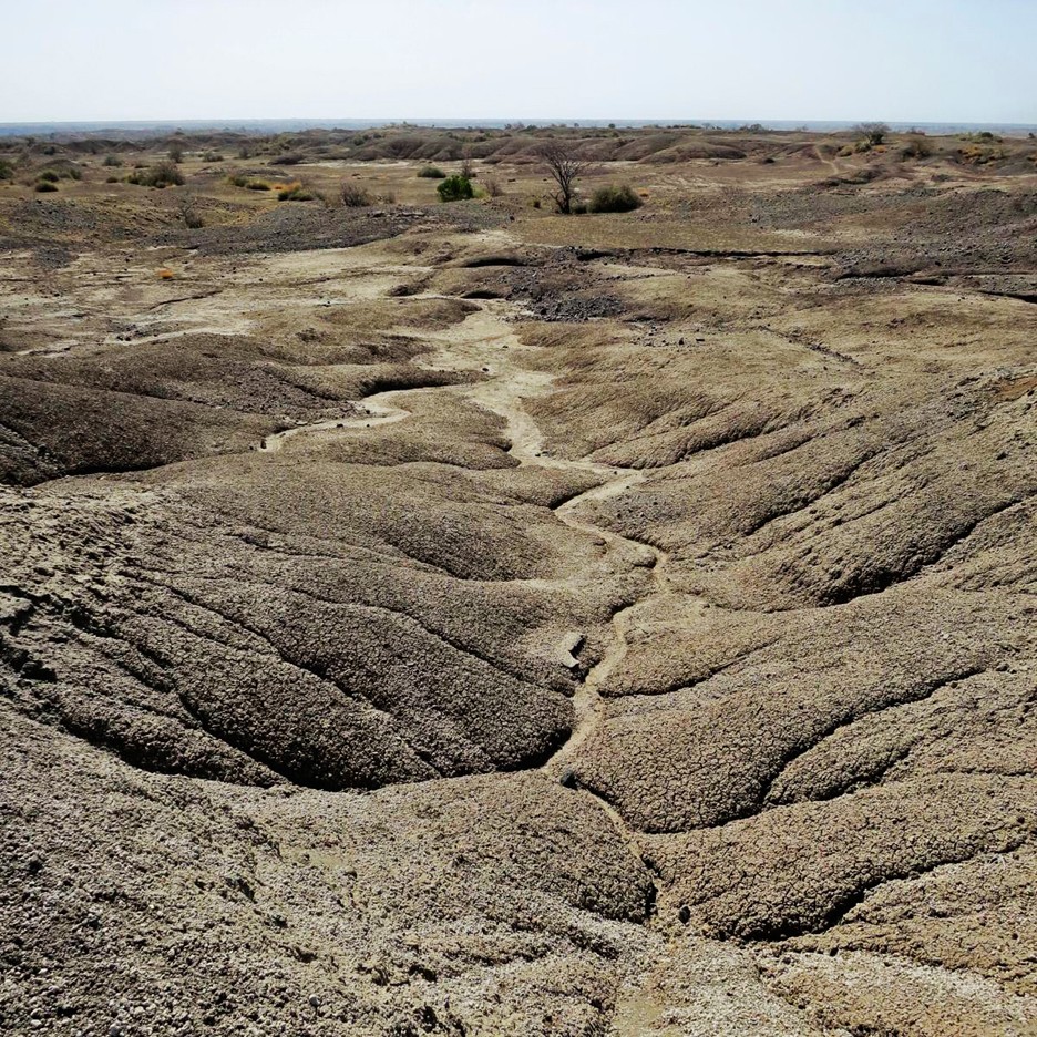 The desert in the Middle Awash region of Ethiopia